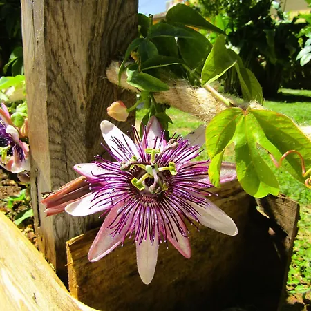 Casina Di Desiree E Aurora Corsanico-Bargecchia